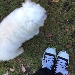 Meet your Posher, Celine